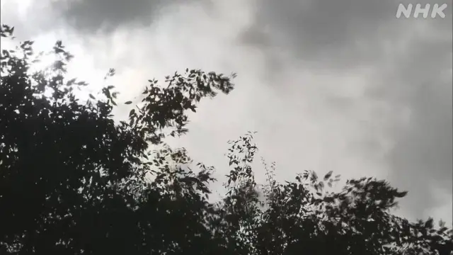 雷と強い風や雨　16日まで気をつけて
